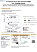 ICTE 2024 preview