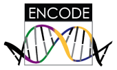ENCODE Project at UCSC ENCODE Project at UCSC
