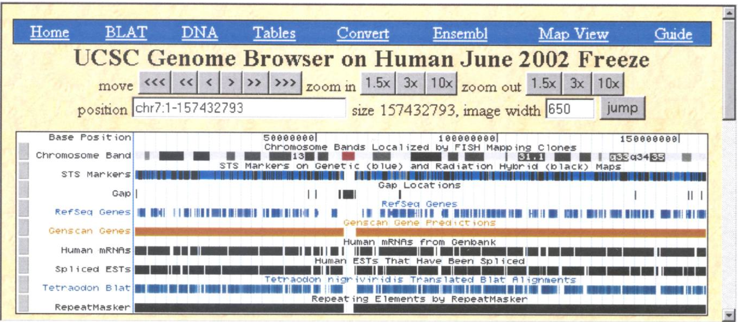 Example screenshot from 2003 UCSC Genome Browser